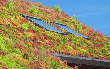 Dog Village living roof systems