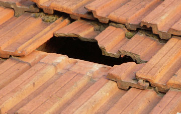 roof repair Dog Village, Devon