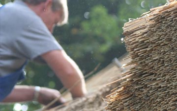 professional Dog Village thatchers