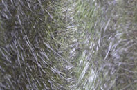 Dog Village fibreglass roof work