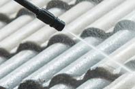 rated Dog Village roof cleaning companies